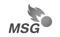 MSG